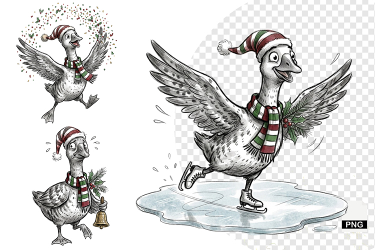 Goose Illustration Image 2