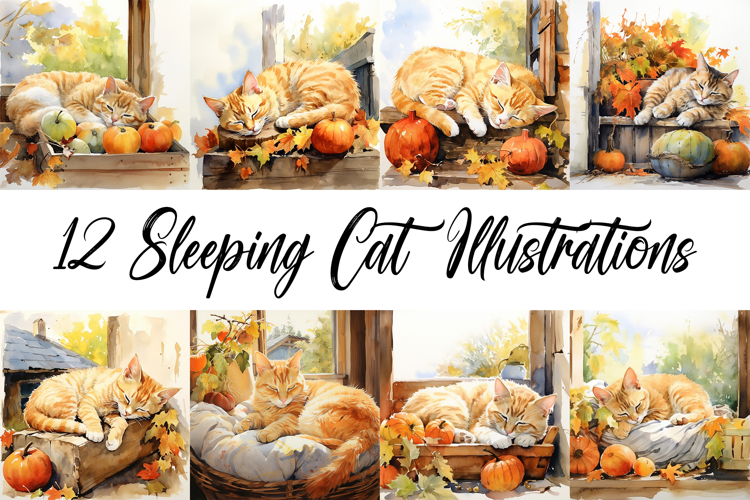 12 Sleeping Cat Illustration Paintings Ginger JPG