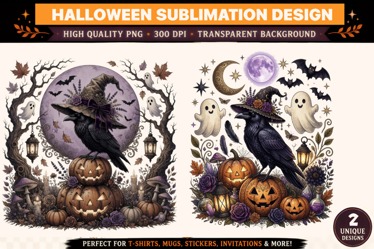 Halloween Raven Witch PNG | Gothic Crow Pumpkin Ghost