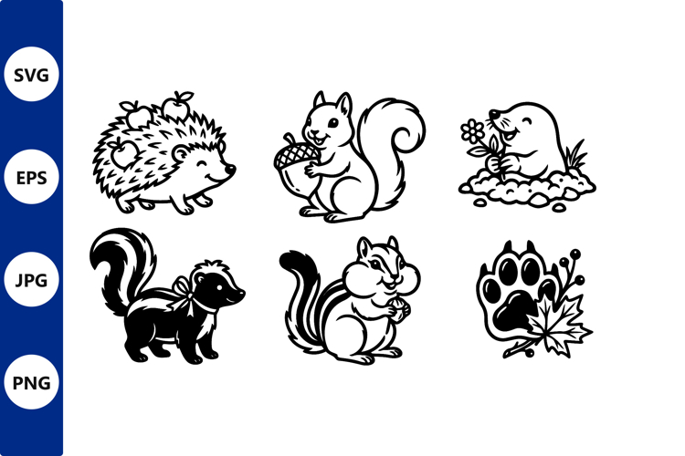 Acorn Illustration Image 19