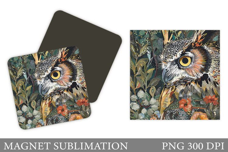Owl Clipart Image 18