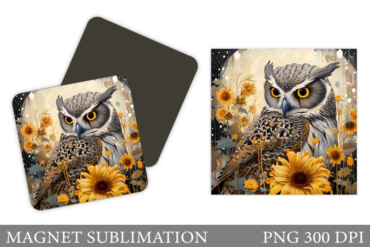 Owl Clipart Image 13