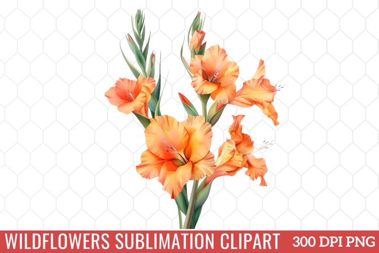 Spring Clipart Image 24