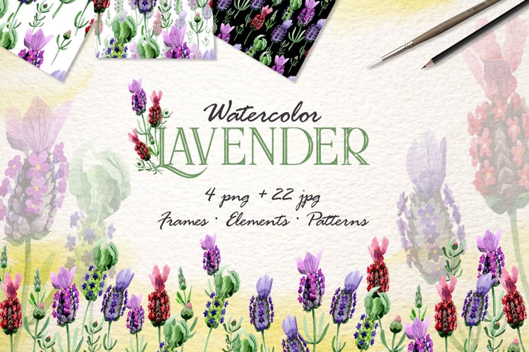 Lavender Png Image 23