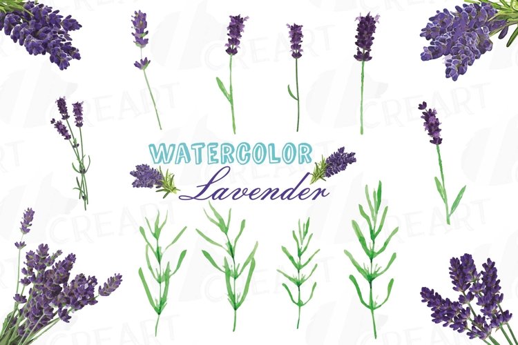 Watercolor Leaves Clipart Image 6
