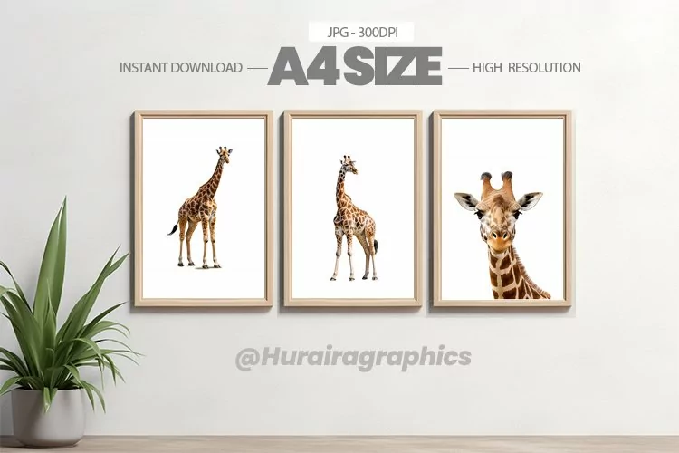Animal Wall Art - 03 Variations