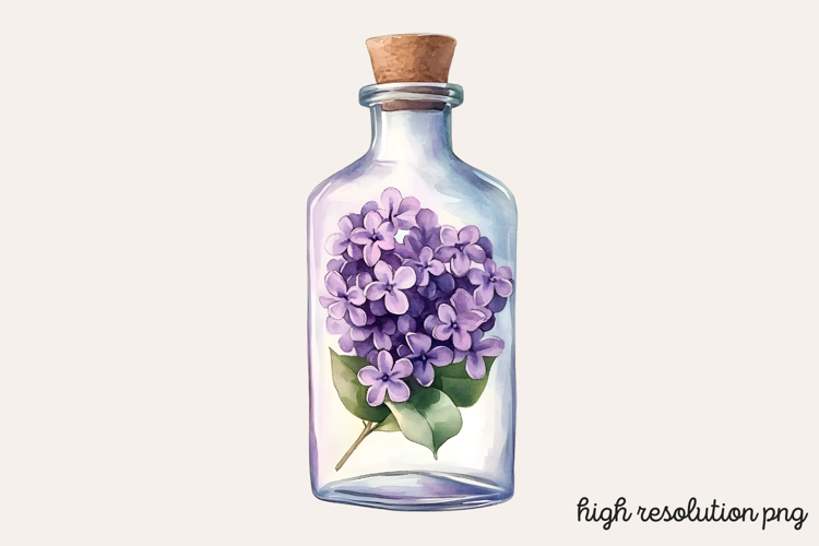 Lilac Illustration Image 21