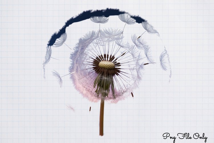 Boho Clipart Image 5