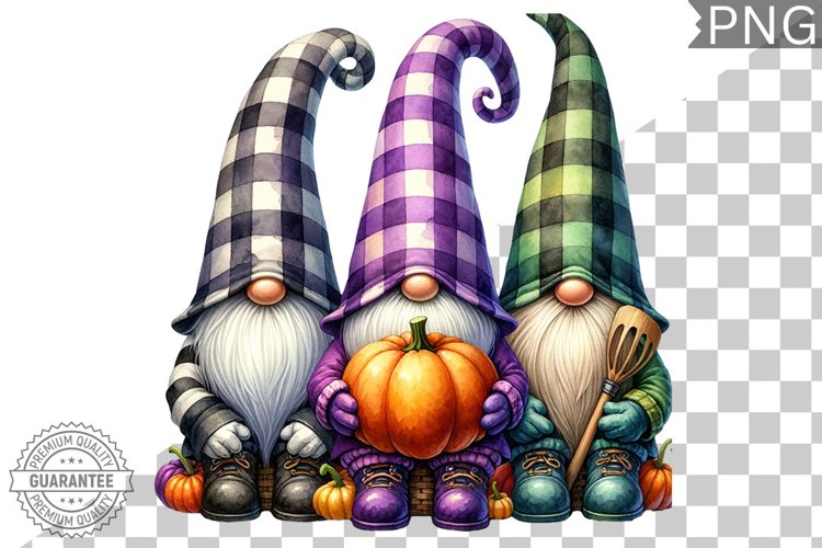 Gnome Clipart Image 7