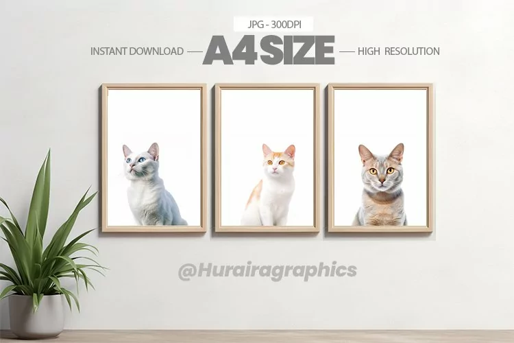 Animal Wall Art - 03 Variations