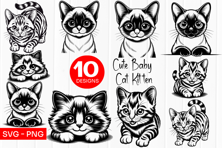 Cute Baby Kitten Clipart SVG PNG