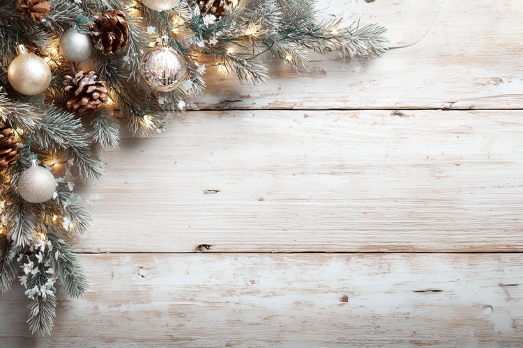 Christmas Background Image 2