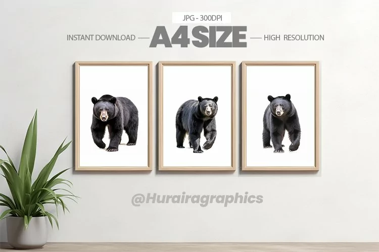 Safari Animal Wall Art - 03 Variations
