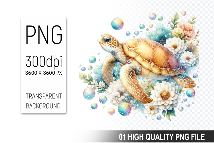 Turtle Png Image 15