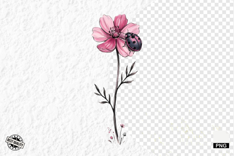 Lady Bug Clipart Image 14