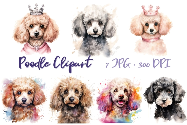 Pet Illustration Image 2