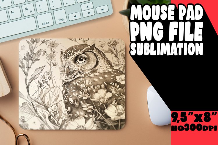 Owl Clipart Image 11
