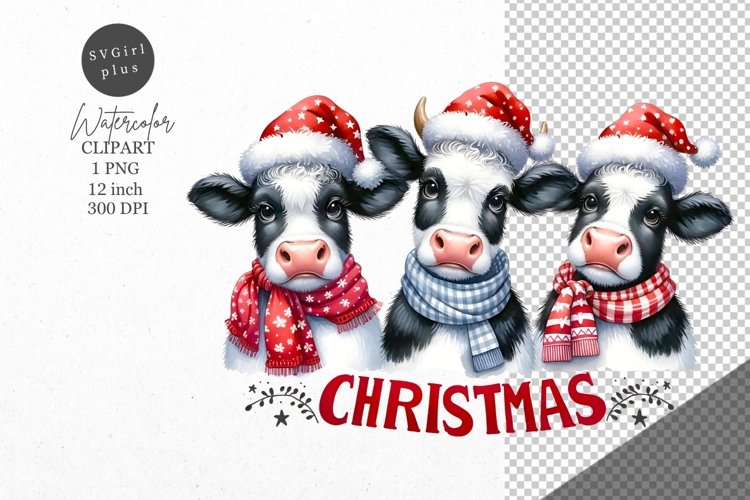 Christmas clipart, 3 Cow clipart, Cow sublimation