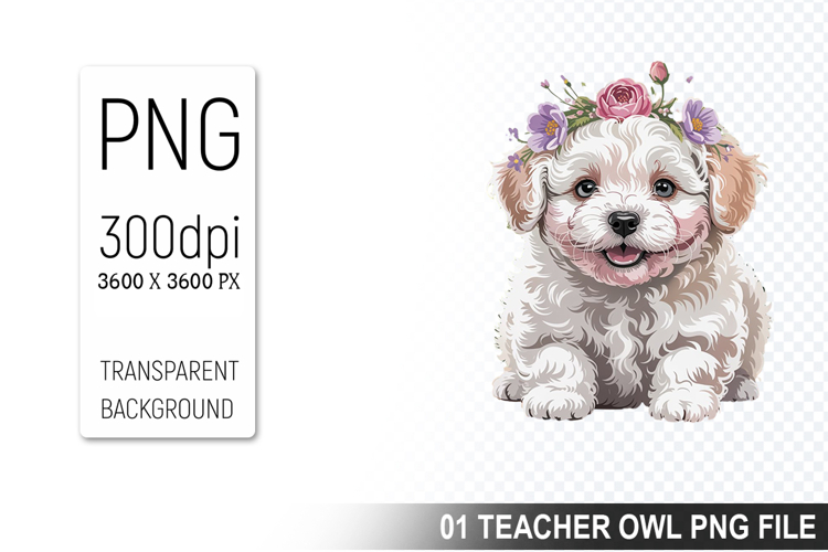 Pet Illustration Image 20