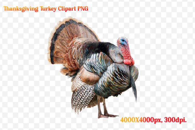 Watercolor Thanksgiving Turkey Clipart PNG
