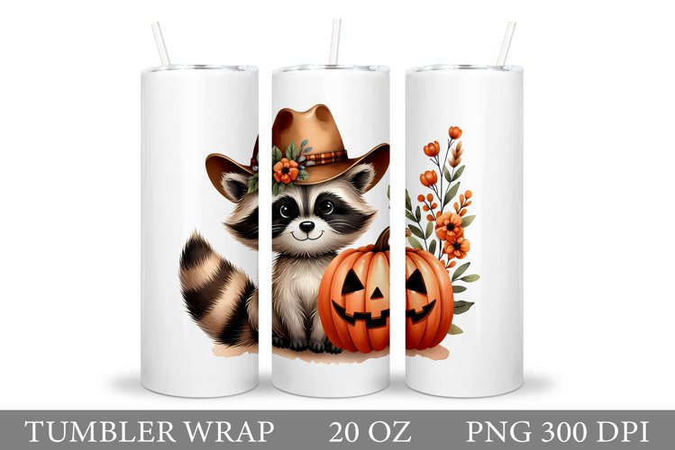 Raccoon Clipart Image 20