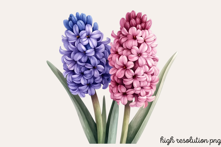 Blue Flower Clipart Image 21