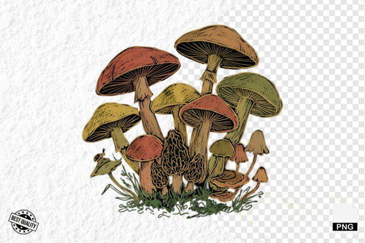 Summer Clipart Image 22
