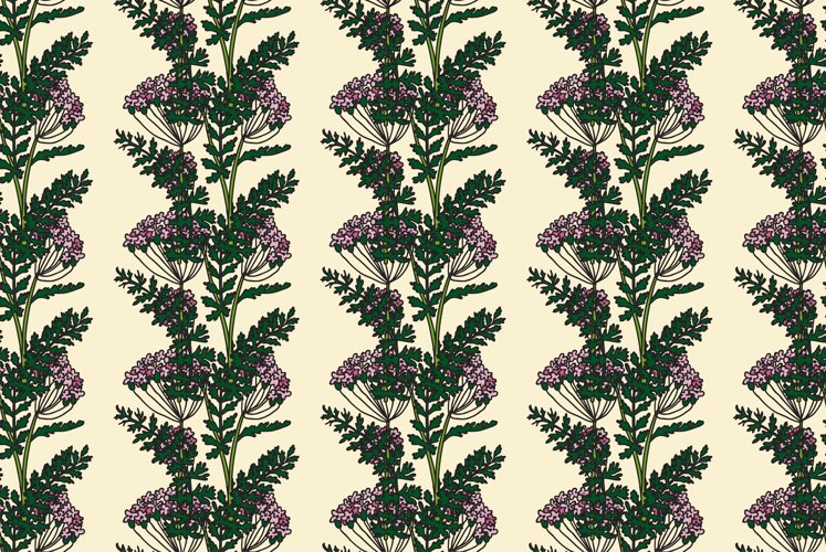 Hydrangea Illustration Image 15
