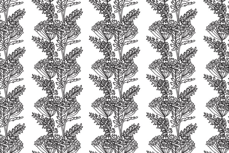 Hydrangea Clipart Image 13