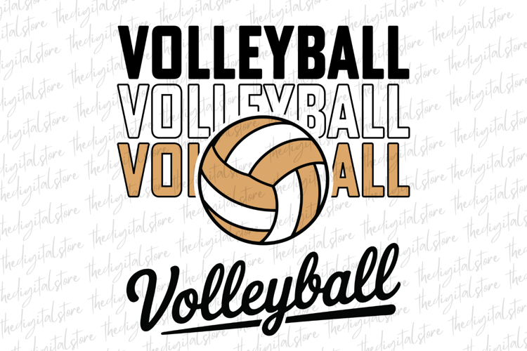 Volleyball Silhouette Image 24