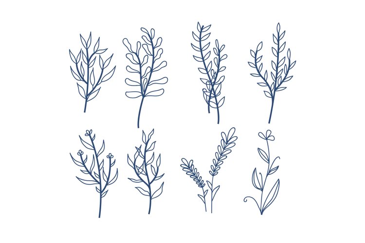 Flowers Vector Image 3