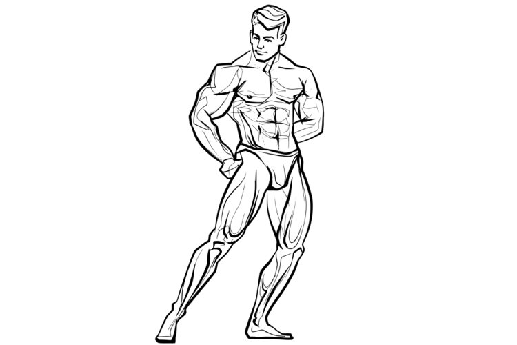 Bodybuilder muscled man. Vector illustration.