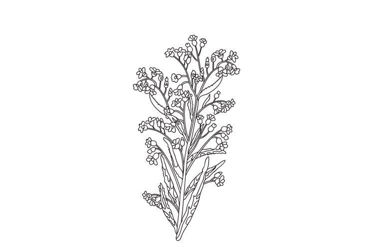 Flower Doodles Image 8