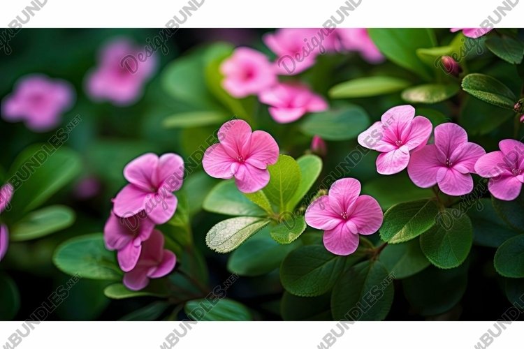 Small Clipart Image 16
