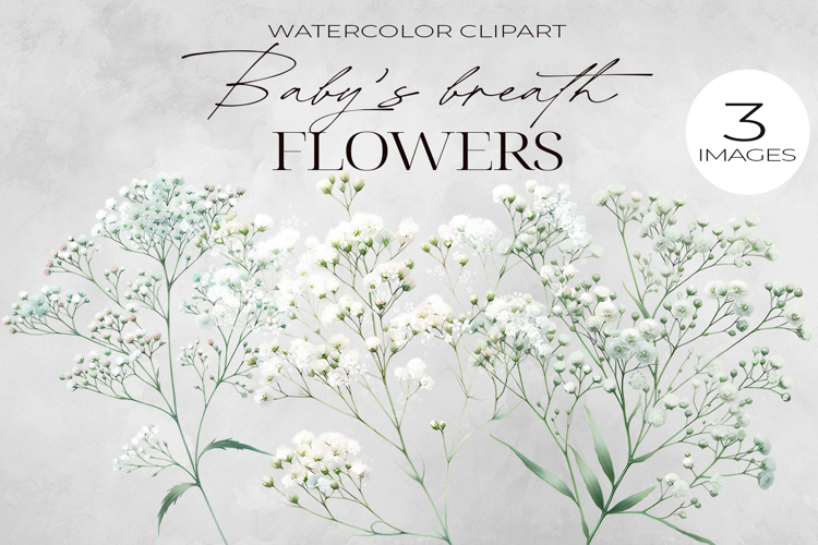 Watercolor Flower Clipart Image 24