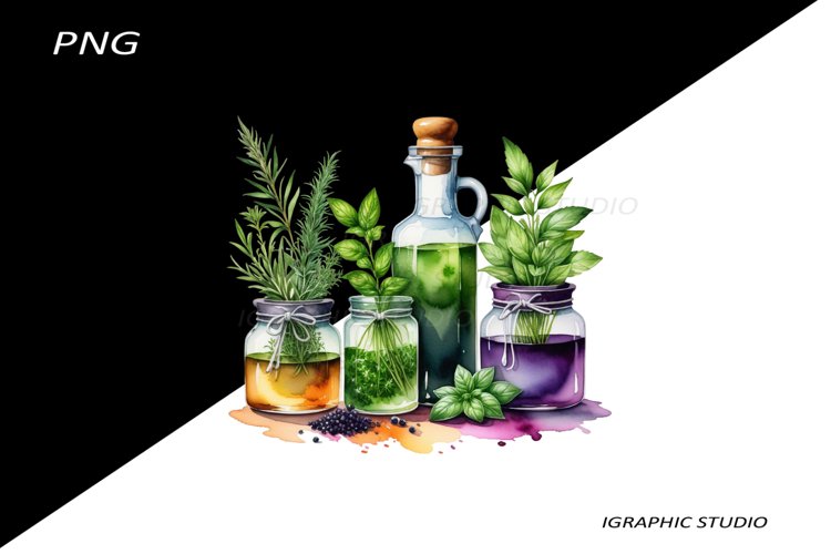 Watercolor bottle and herbs clipart