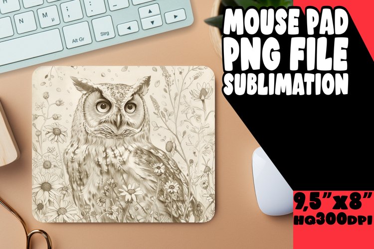 Owl Clipart Image 14