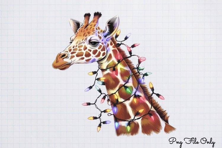 Boho Clipart Image 12