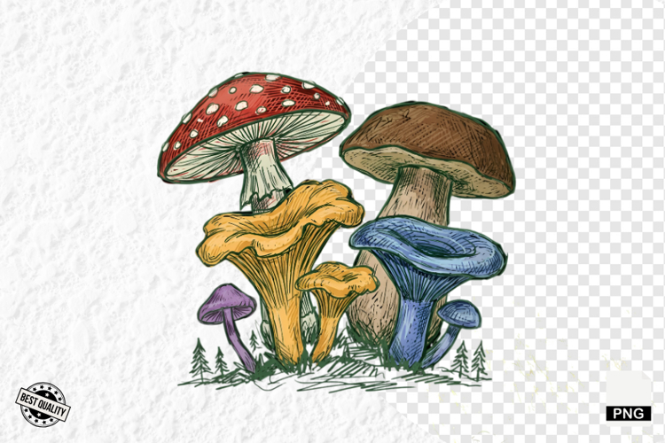 Summer Clipart Image 21