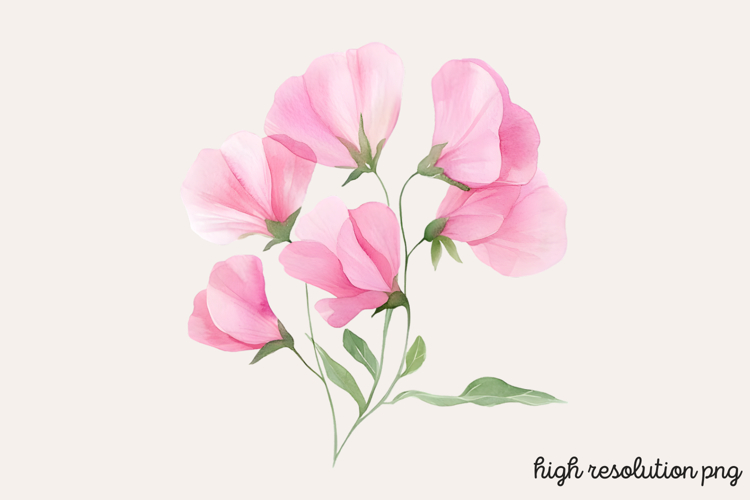 Flower Clipart Png Image 23