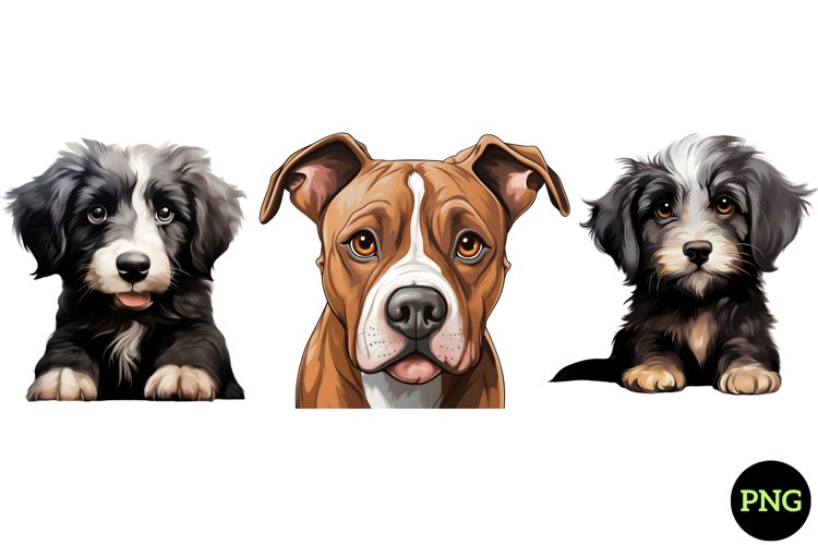 Dogs Png Image 19