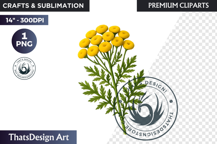 Flower Clipart Png Image 23