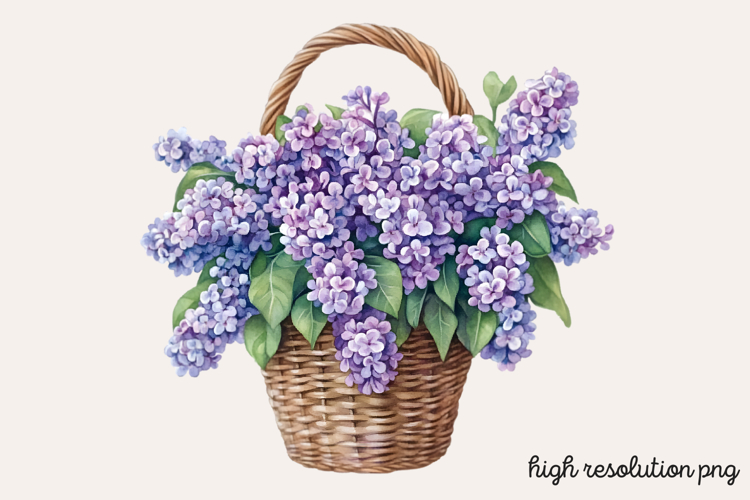 Lilac Illustration Image 22