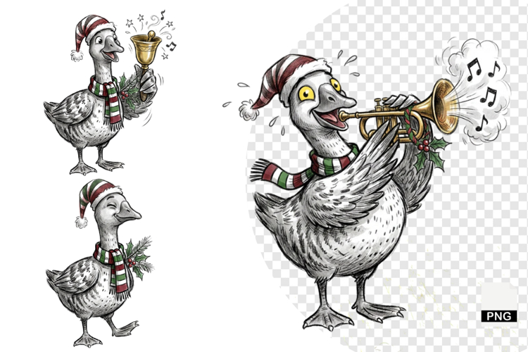 Goose Illustration Image 24