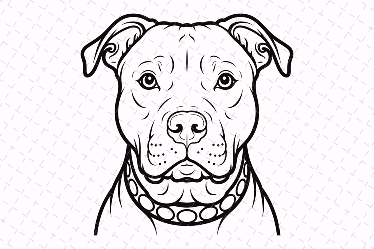 Fun Coloring Pages Image 3