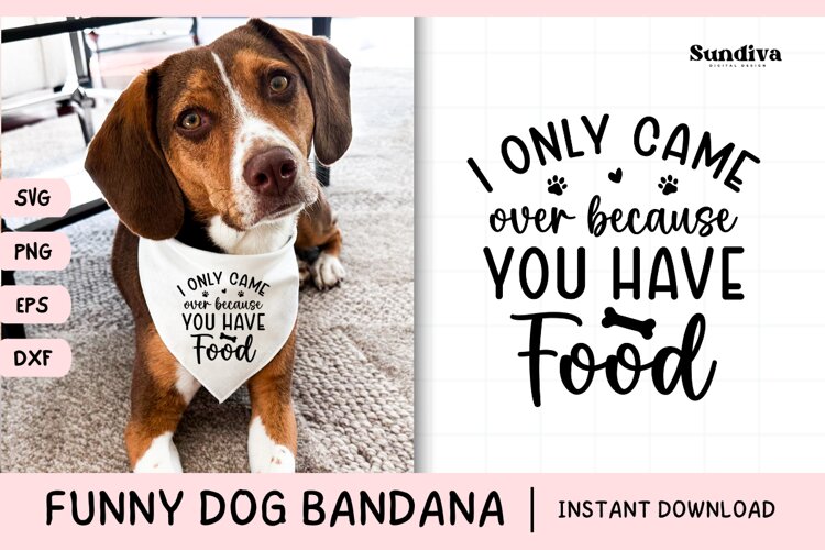 Funny Dog Bandana Quotes SVG | I Only Came Over