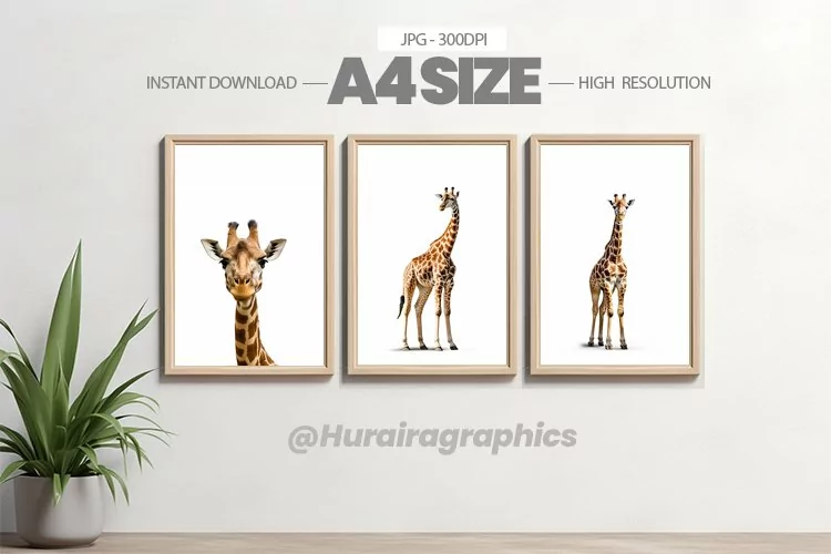 Animal Wall Art - 03 Variations