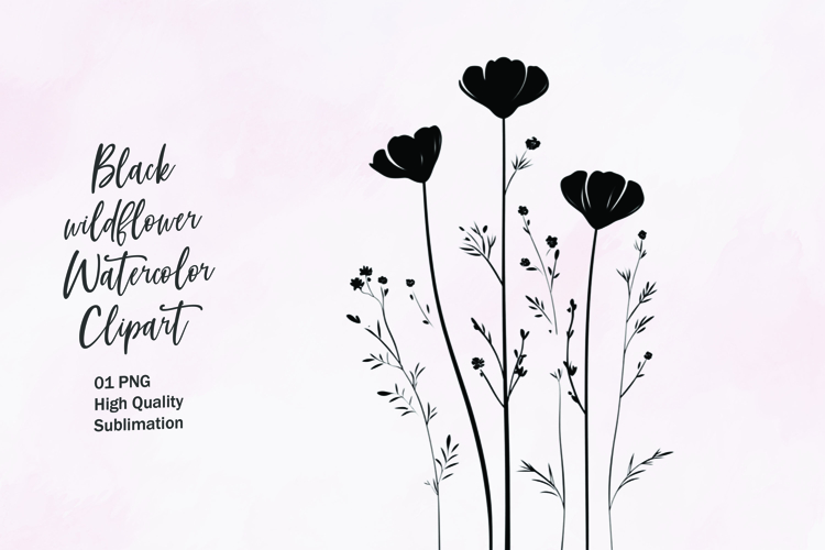 Flower Outline Png Image 15