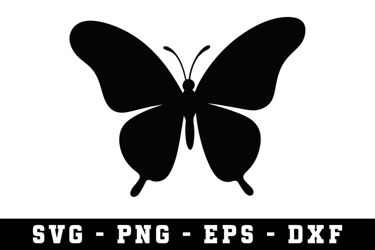 Butterfly SVG | SVG Cut files | Cricut