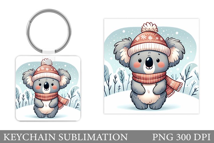 Cute Koala Pictures Image 6